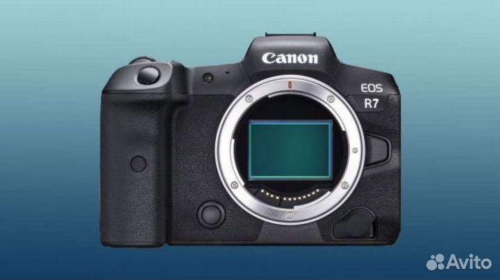 Фотоаппарат Canon EOS R7 body