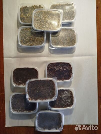 Товары для рыбалки оптом