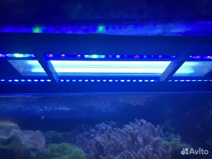 Морская аквариумная стойка