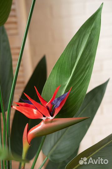 Искусственное дерево Стрелиция Николая с цветами