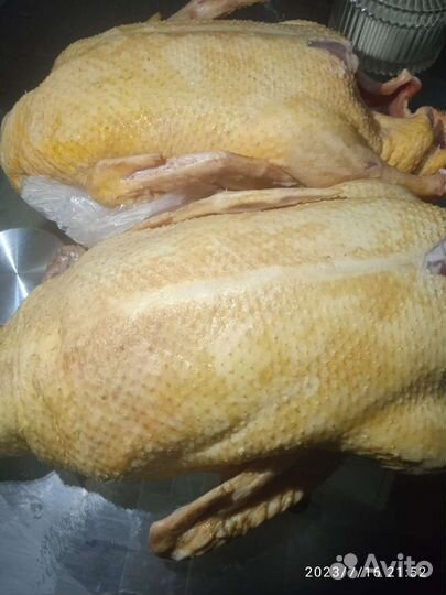 Мясо утки мулард