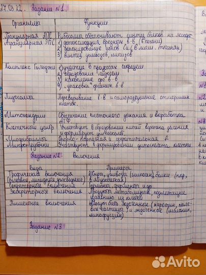 Написание конспектов и докладов