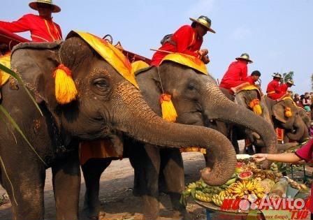 Туры в Тайланд. Паттайя/Пхукет