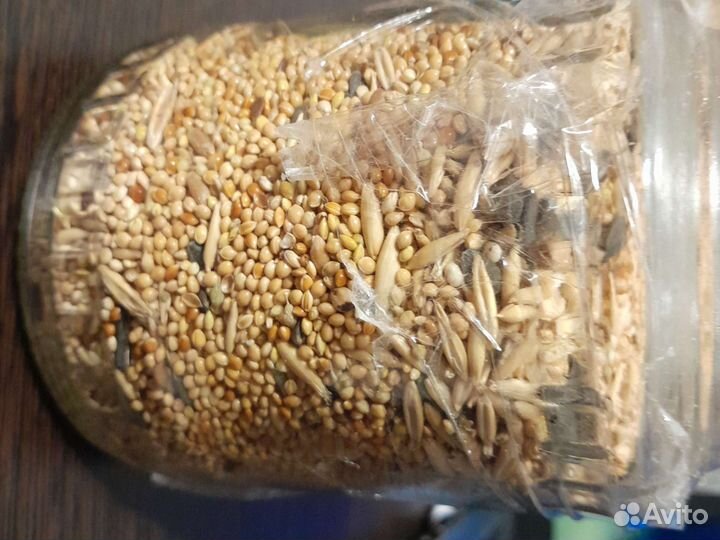 Корм для попугайчика