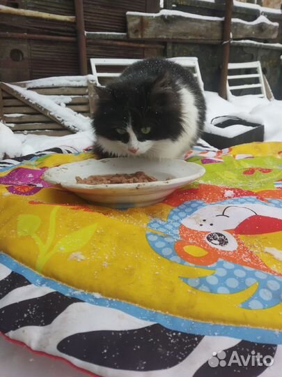 Девочка Ромашка ждёт заботливые ручки