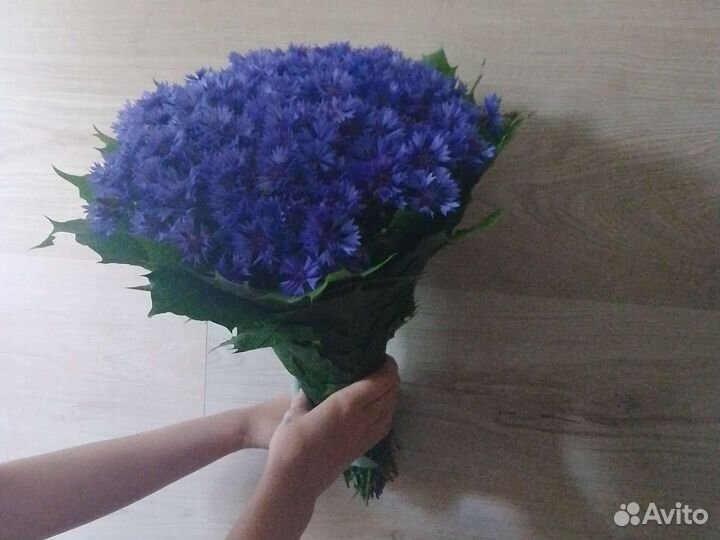 Васильки цветы букеты заказ