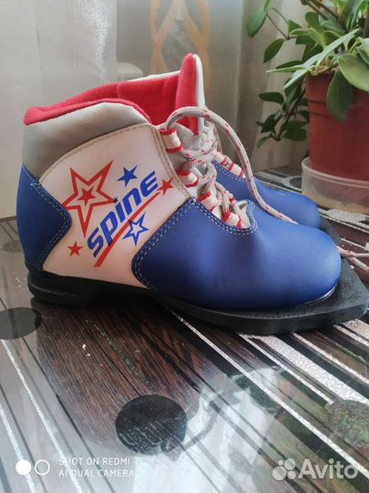 Лыжные ботинки