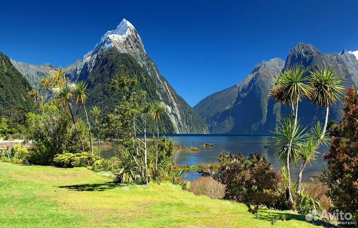 Виза США, Виза Китай, Шенген