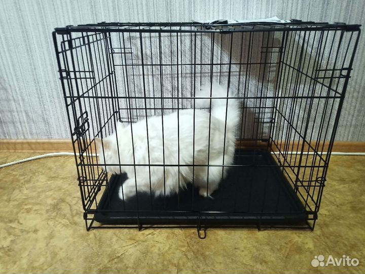 Клетка для животных N2