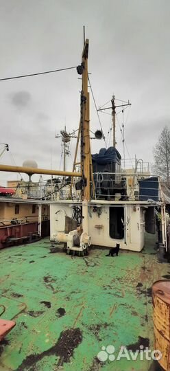 Морское исследовательское судно