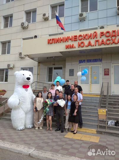 Белый мишка на поздравление