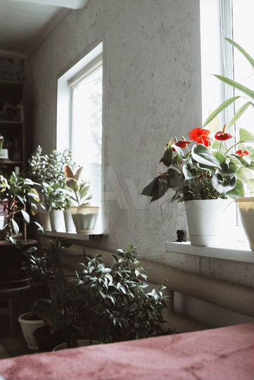 Дом 93 м² на участке 5 сот.