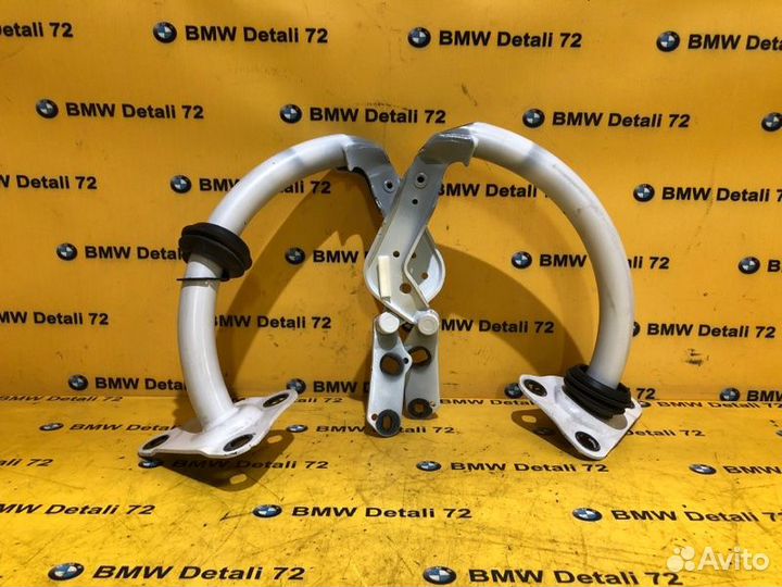 Петли багажника задние Bmw 7 E66 N73B60 2005