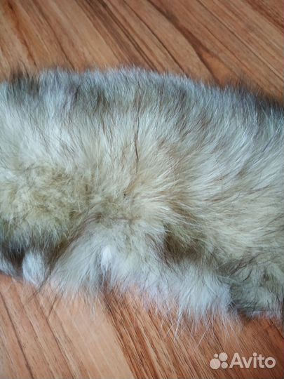 Воротник песец