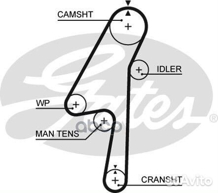 31258306 Ремень грм volvo S40/60XS70/90 2.4 200