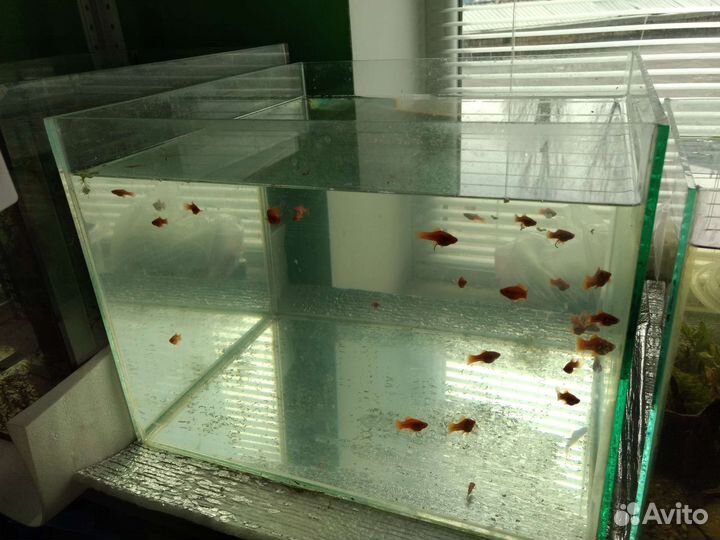 Аквариум 155 литров без крышки и другое
