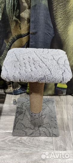Когтеточка