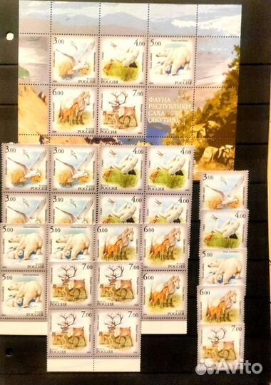 Современная Россия фауна флора личности обмен