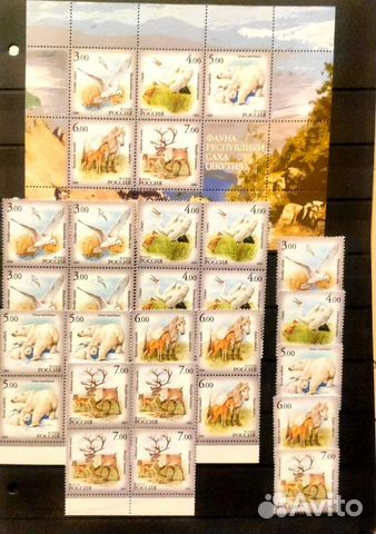 Современная Россия фауна флора личности обмен