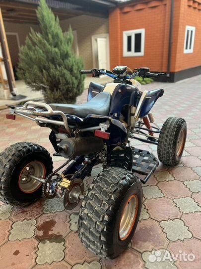 Ирбис 250