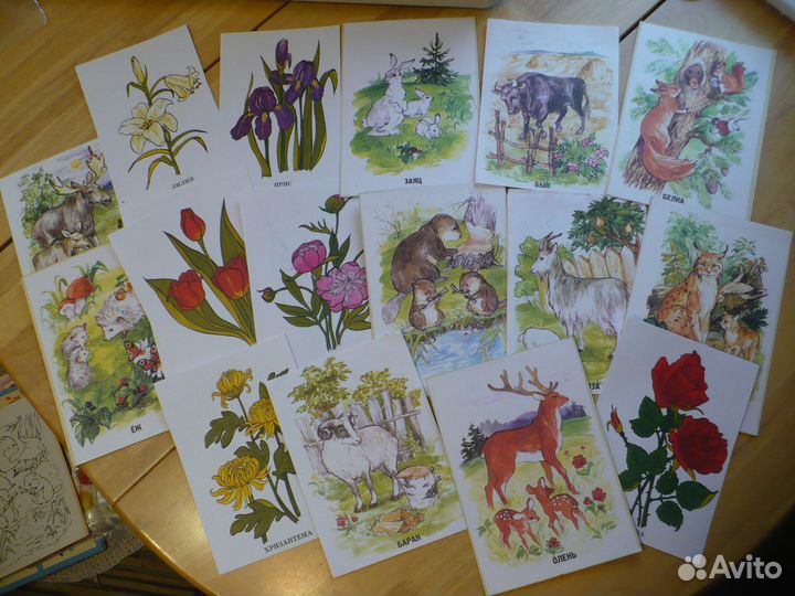 Пособия по чтению/письму/речи для дошкольников