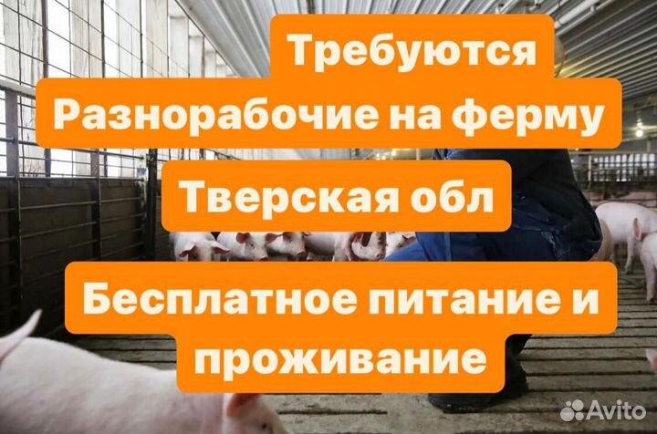 Вахта с питанием и проживанием. Разнорабочий