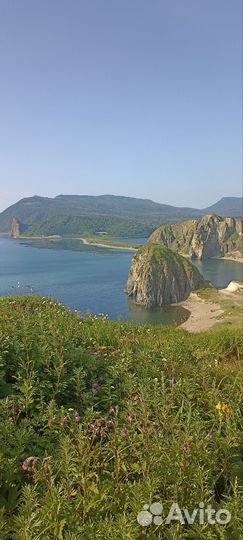 Организация экскурсий