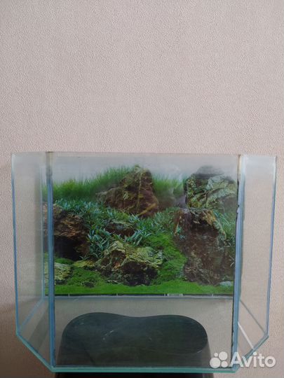 Аквариум 22л