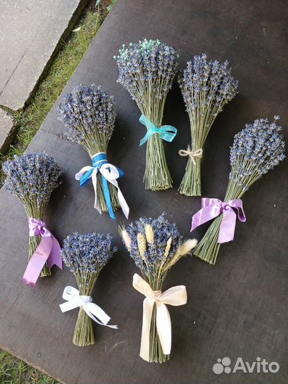 Лаванда сухоцвет