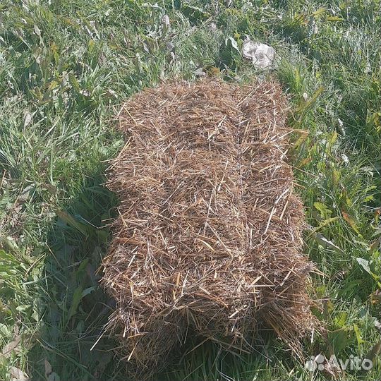 Солома в тюках