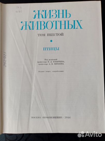 Жизнь животных