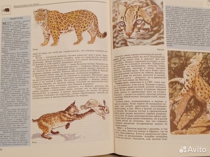 Энциклопедия для детей биология