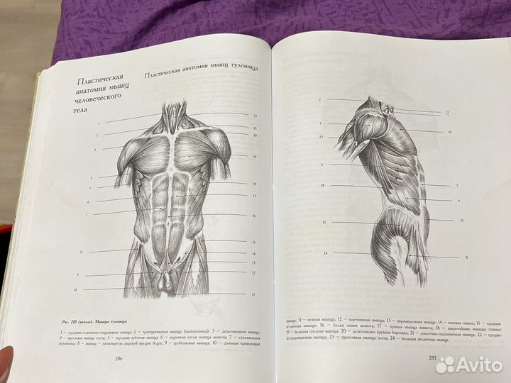 Книги по рисованию