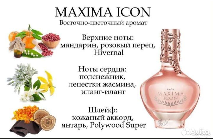 Maxima Icon Avon