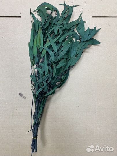 Ягель мох, Растения, Кочки