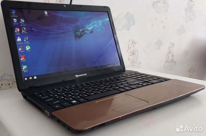 Packard bell 15,6