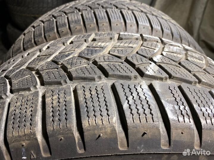 Firestone Winterhawk 3 195/55 R15 88T