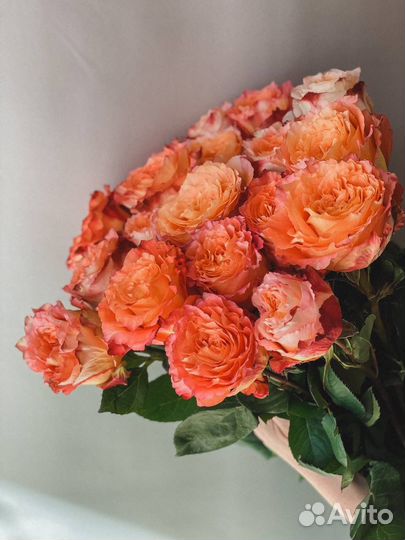 Импортная роза, цветы с доставкой