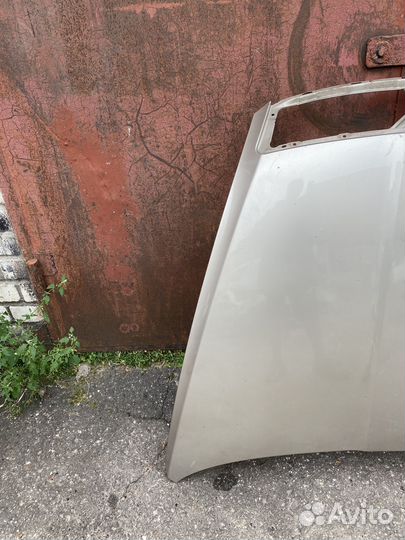 Капот Skoda Octavia A5