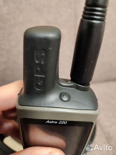 Навигатор Astro 220 с ошейником