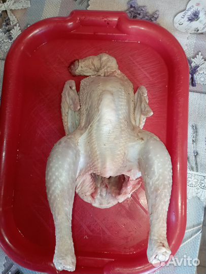 Мясо цветного бройлера