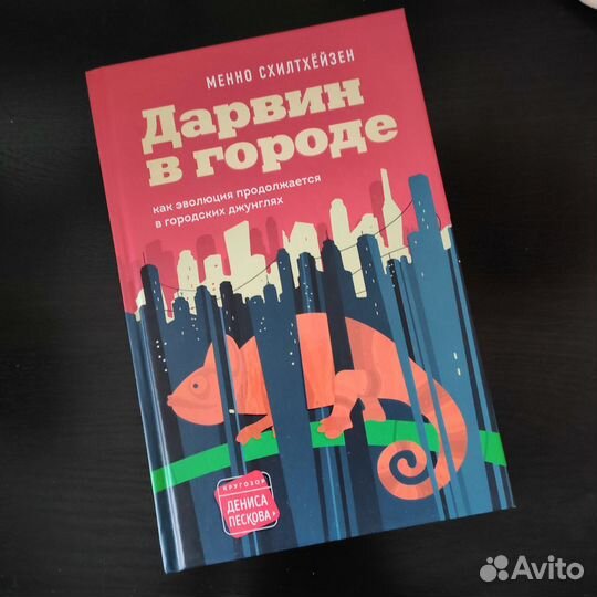 Дарвин в городе