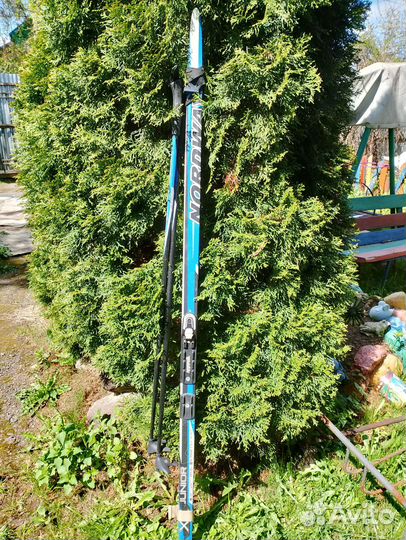 Лыжи беговые