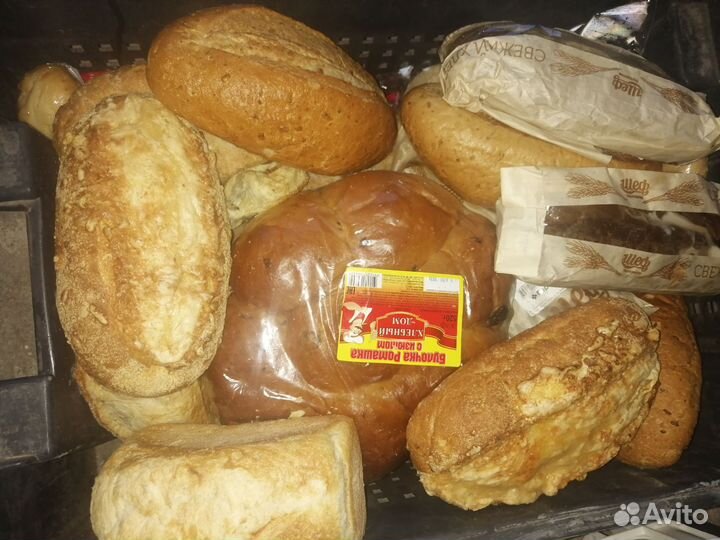 Хлеб на корм животным