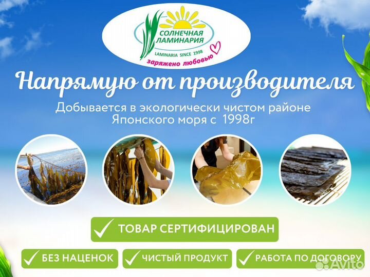 Морская капуста. Ламинария. Опт от 5 кг