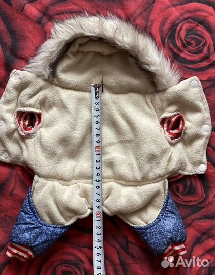 Одежда для маленьких собак s