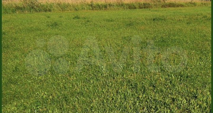 Участок 15 сот. (ИЖС)