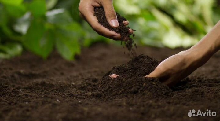 Грунт для теплиц