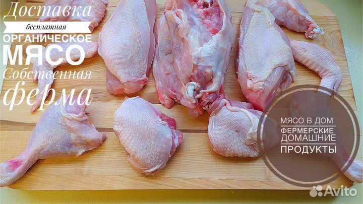 Мясо курицы