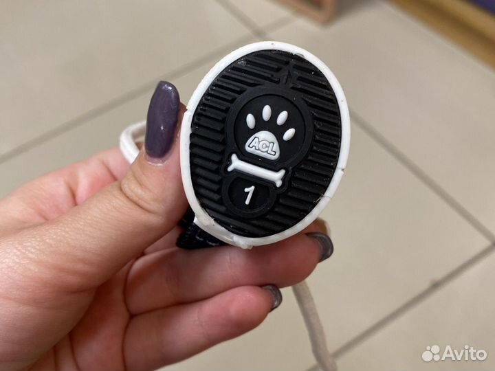 Кеды для собак